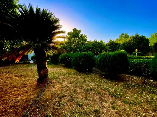 تصویر 11 - ویلا باغ شکری  در  سرخ رود