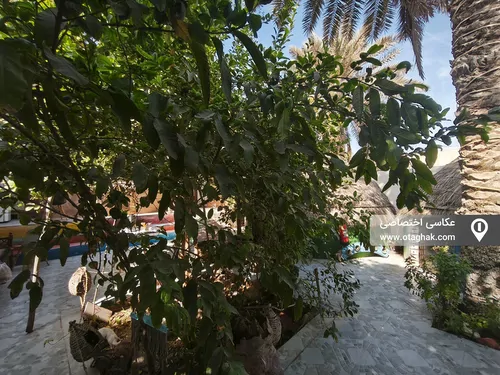 تصویر 19 - اقامتگاه بوم‌گردی دنج (الهه نمک) در  هرمز