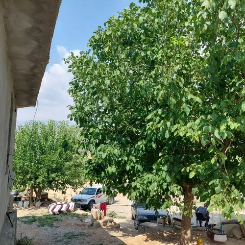 تصویر 2 - خانه خانه آرام و دلنشین در یاسوج