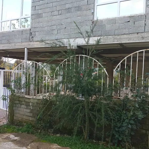 تصویر 18 - آپارتمان مبله جنگلی گلناز در  لاهیجان