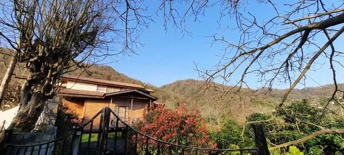 تصویر 3 - کلبه جنگلی باران در رامسر
