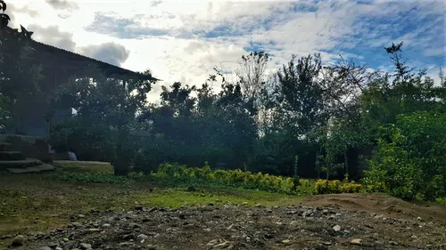 تصویر 4 - ویلا علی پور در رودسر