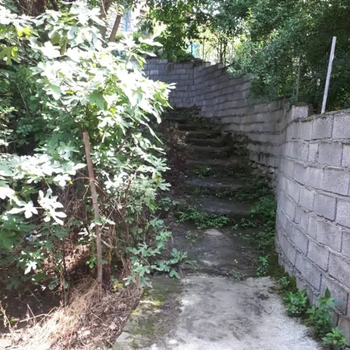 تصویر 2 - ویلا سنتی مختار در شیرگاه