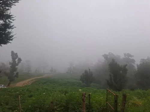 تصویر 20 - کلبه چوبی پدر  در  ماسال
