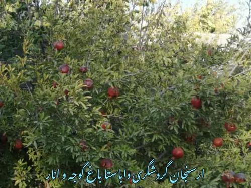 تصویر 5 - آپارتمان خانه داباستا در  شیراز