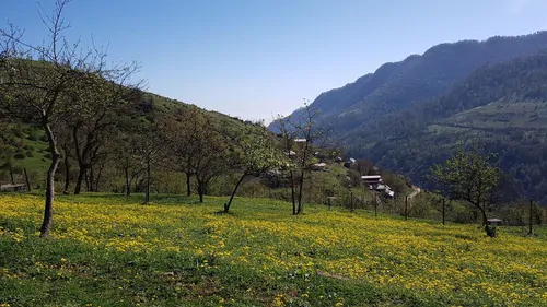 تصویر 2 - روستایی و عشایری خونه سنتی در تالش