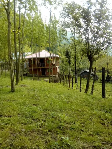 تصویر 9 - کلبه چوبی جنگلی جکوزی دار نساء در  ماسال