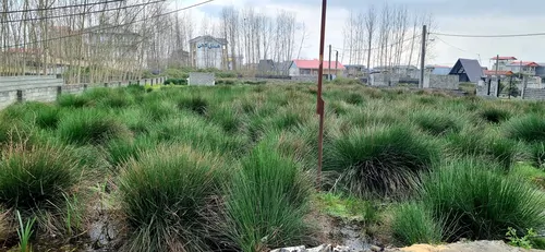 تصویر 23 - کلبه سوئدی لیا نزدیک به دریا در گیسوم