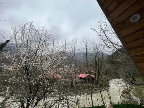 تصویر 2 - کلبه کلبه سوئیسی جکوزی دار در ماسال