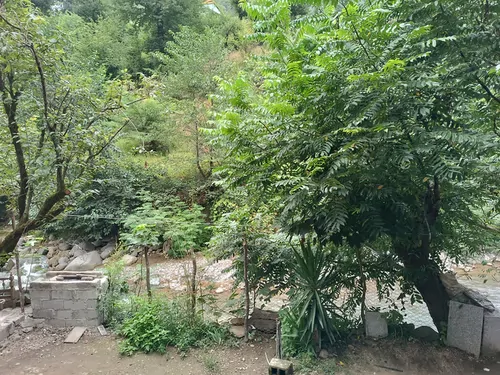 تصویر 4 - آپارتمان ویلای جنگلی لب رودخانه و کوهای هیرکانی در اسالم