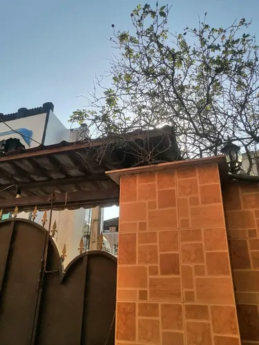 تصویر 9 - خانه شالیزار در  محمودآباد