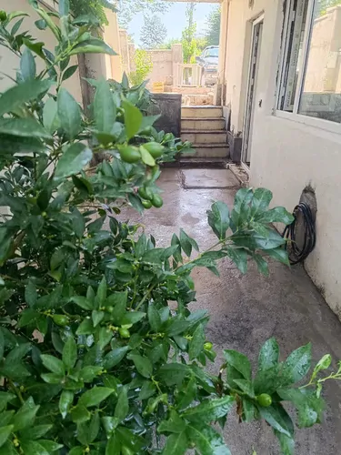 تصویر 2 - ویلا سوییت هتل آپارتمان گل بابا در رشت