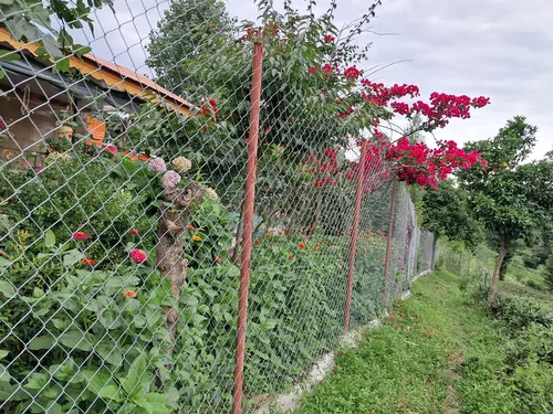 تصویر 2 - ویلا لاکچری با نورپردازی عالی ویو ابدی در سیاهکل