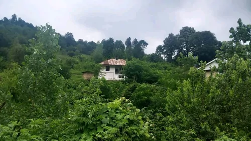تصویر 2 - روستایی و عشایری سنتی کوهپایه  در  فومن
