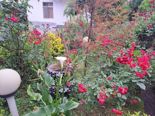تصویر 13 - ویلا جوربند در  چمستان