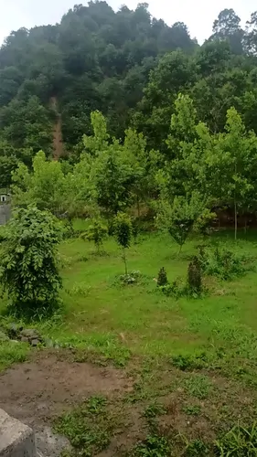 تصویر 18 - ویلا جنگلی مقدم کنار رودخانه در اسالم