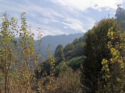تصویر 25 - کلبه فردوسی با دیزاین چوبی در  ماسال