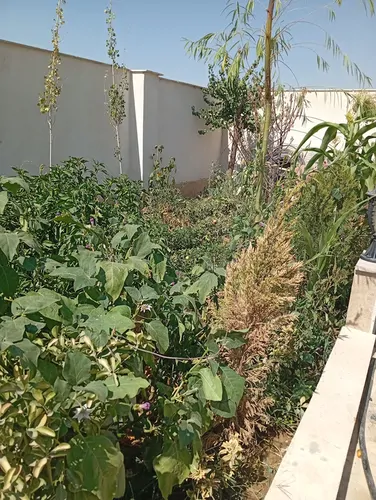 تصویر 5 - ویلا عمارت زیبای الماس۳ سهیلیه در  سهیلیه