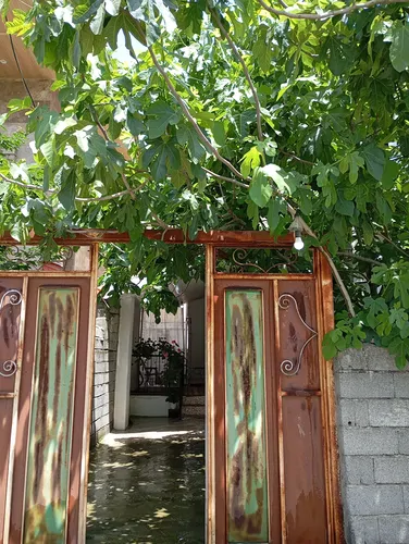 تصویر 12 - آپارتمان پنداریان در آستارا