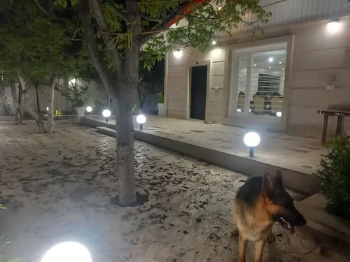 تصویر 5 - ویلا خونه باغ باصفای صدرا در  ماهدشت