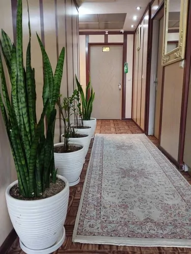 تصویر 11 - مهمانسرا بصیر (502) با صبحانه رایگان در جمالزاده شمالی در  تهران