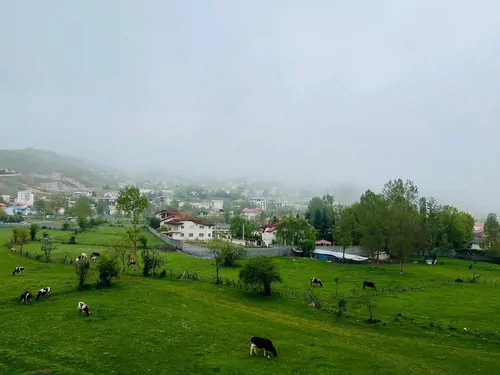 تصویر 13 - آپارتمان مبله دشت بهشت  در  کلاردشت