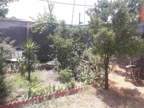 تصویر 3 - خانه پاسداران  ‍ در انزلی