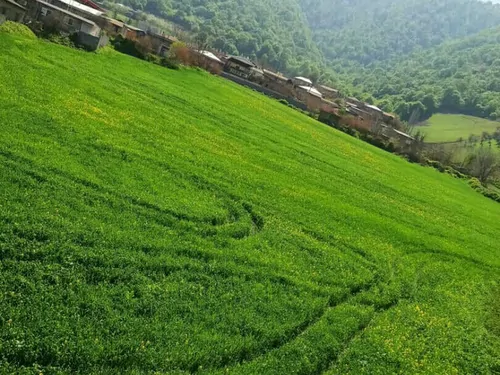 تصویر 3 - ویلا ویلا بهشت  در علی آباد کتول