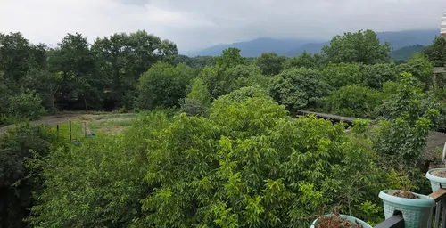 تصویر 2 - ویلا جکوزی دار باچشم انداز جنگل و دریا بندرگز در بندر گز