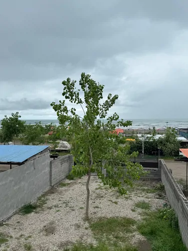 تصویر 18 - کلبه ساحلی سام در  انزلی