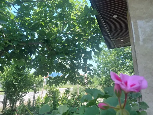 تصویر 17 - ویلا شکوفه بهار در ماسال