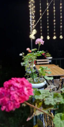 تصویر 33 - آپارتمان مبله افرا در  املش