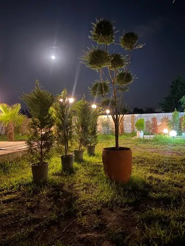 تصویر 2 - ویلا خونه باغ استخردار آبگرم در انزلی