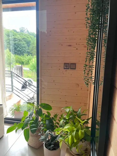 تصویر 17 - کلبه رها در سوادکوه