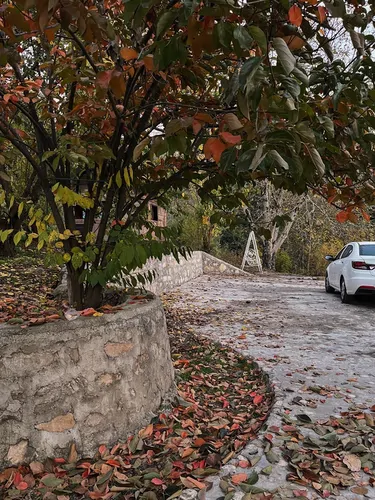 تصویر 17 - ویلا  استخردار آبگرم باران در  بهشهر