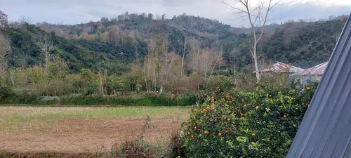 تصویر 27 - کلبه سوئیسی اهورا در رودسر