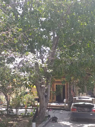 تصویر 5 - ویلا الماس در  فردیس
