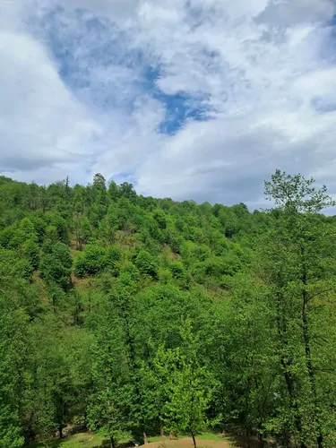 تصویر 21 - ویلا جنگلی فرهاد در ماسال