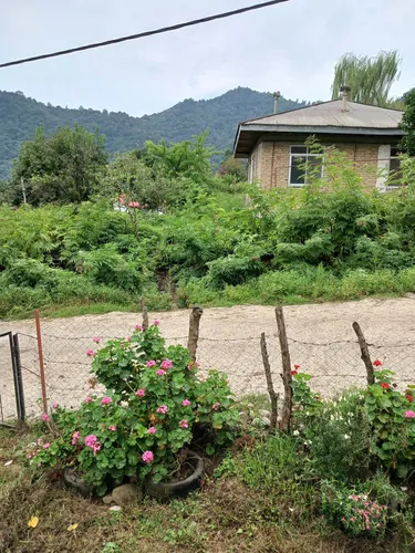 تصویر 16 - کلبه جنگلی چوبی ورمیه در  ماسال