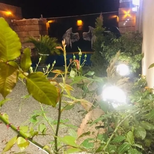 تصویر 3 - ویلا ویلا در کمال شهر