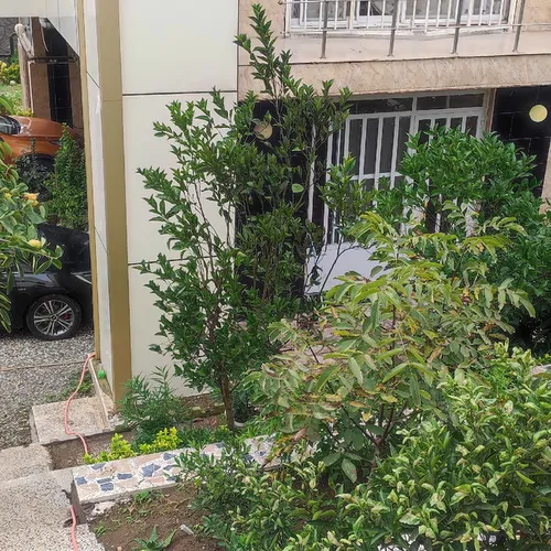 تصویر ۱ - ویلا مانیلا در  زیبا کنار
