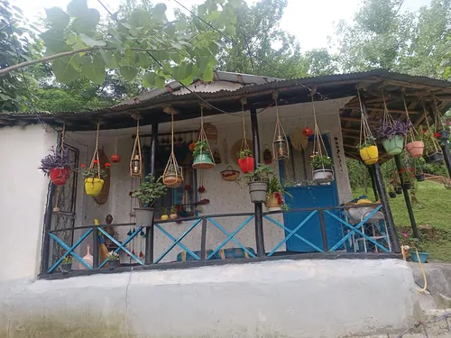 تصویر 2 - کلبه سنتی جنگلی در رشت