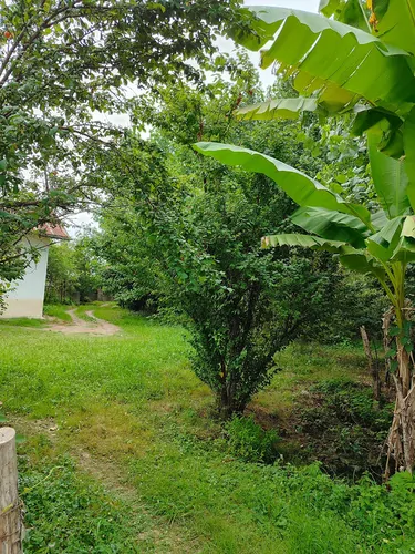 تصویر 5 - ویلا ویلای سنتی در محیطی آرام  در  ماسال