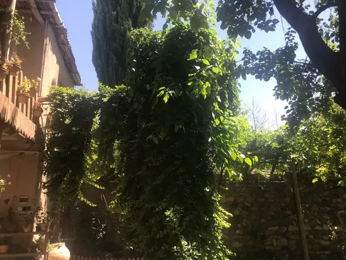 تصویر 4 - اقامتگاه بوم‌گردی  دره پرستوها (اتاق بنفشه) در نیشابور