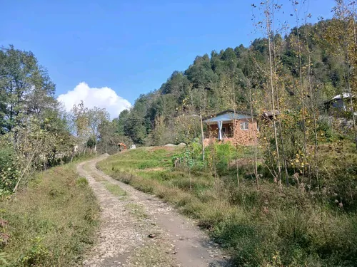 تصویر 12 - ویلا جنگلی اریا در  شیرگاه