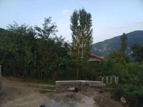 تصویر 22 - کلبه جنگلی کاج با جکوزی در  رامسر