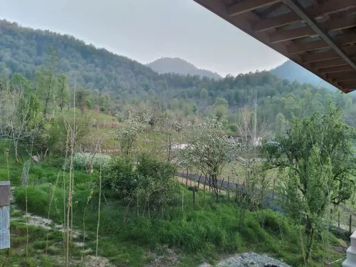 تصویر 27 - ویلا جنگلی مهشاد در  ماسال