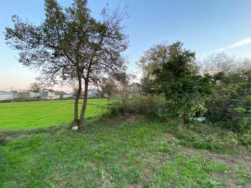 تصویر 12 - آپارتمان مبله سیبن  در  رشت