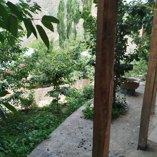 تصویر 12 - روستایی و عشایری سیالان در  الموت