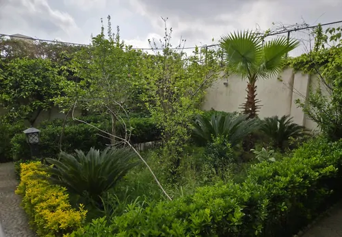 تصویر 20 - ویلا استخردار آبگرم گلشن در رشت